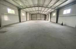 Hala industriala, 528 mp, curte exterioara 470 mp, zona Nord Vest
