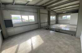Hala industriala, 528 mp, curte exterioara 470 mp, zona Nord Vest