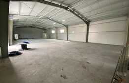 Hala industriala, 528 mp, curte exterioara 470 mp, zona Nord Vest