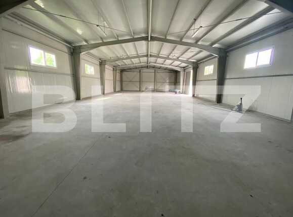 Spațiu industrial de închiriat Vest - 87793SII | BLITZ Craiova | Poza1