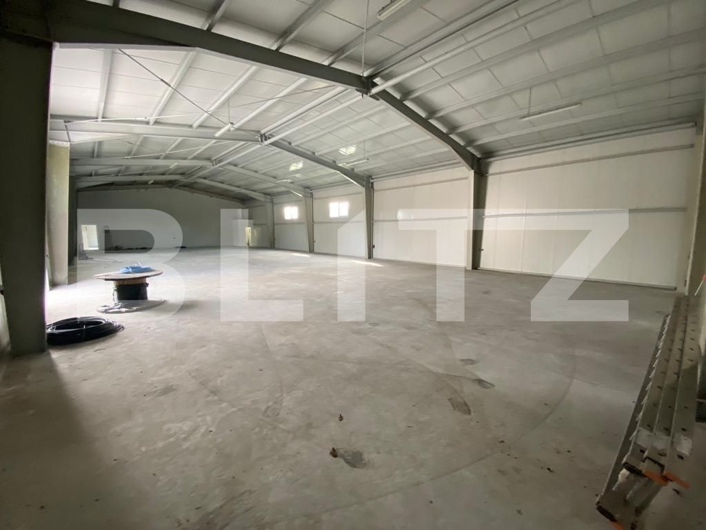 Spațiu industrial de închiriat Vest - 87793SII | BLITZ Craiova | Poza4