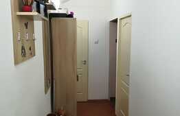 Garsonieră 31 mp, spațioasă, luminoasă, zona Brestei