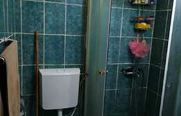 Garsonieră 31 mp, spațioasă, luminoasă, zona Brestei