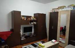 Garsonieră 31 mp, spațioasă, luminoasă, zona Brestei