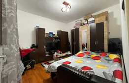 Garsonieră 31 mp, spațioasă, luminoasă, zona Brestei