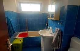 Apartament 2 camere, 50 mp, mobilat si utilat, zona Brazda