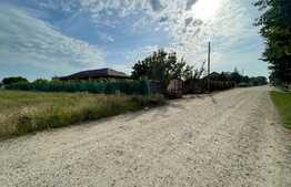 Teren intravilan 3100 mp, Cosoveni