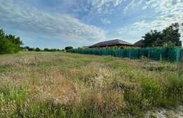 Teren intravilan 3100 mp, Cosoveni