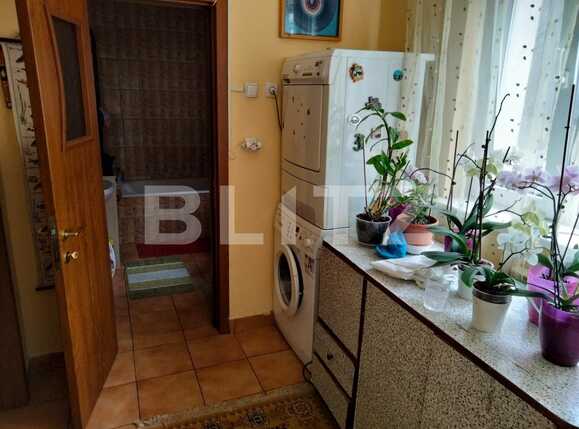 Casa de vânzare 3 camere Lascar Catargiu - 87868CV | BLITZ Craiova | Poza7