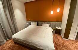 Ocazie! Penthouse, sauna și jacuzzi, zona Grădina Botanica