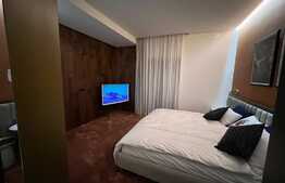 Ocazie! Penthouse, sauna și jacuzzi, zona Grădina Botanica