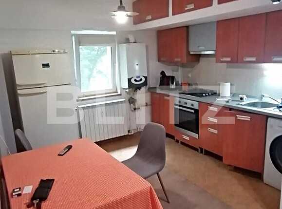 Apartament de închiriat 2 camere Lapus Arges - 87988AI | BLITZ Craiova | Poza3