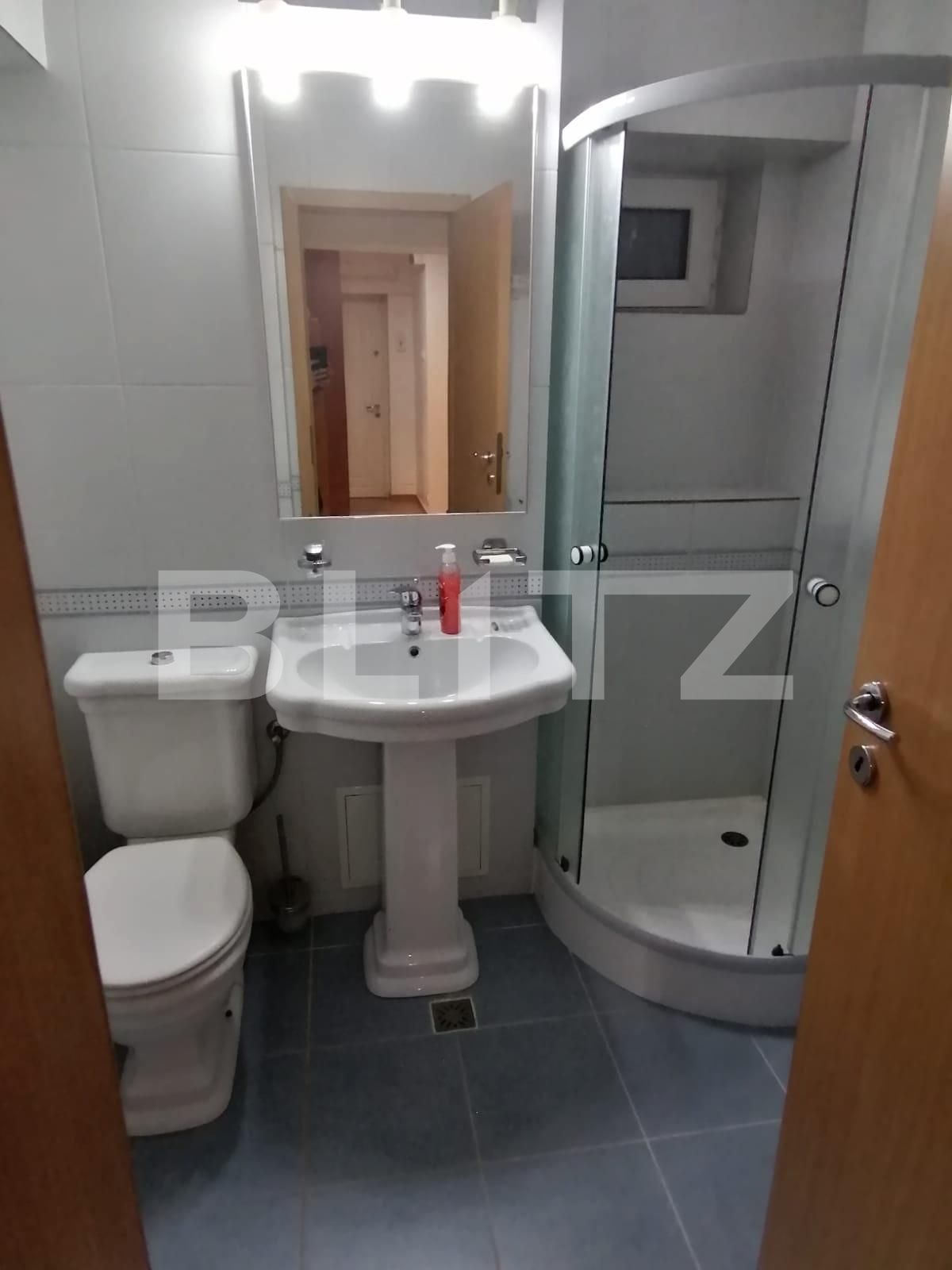 Apartament de închiriat 2 camere Lapus Arges - 87988AI | BLITZ Craiova | Poza5