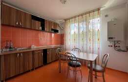 Apartament de 2 camere, decomandat, 65 mp, Brazda