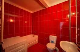 Apartament de 2 camere, decomandat, 65 mp, Brazda