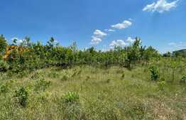  Teren Intravilan 22598 mp