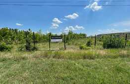  Teren Intravilan 22598 mp