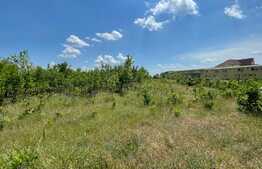  Teren Intravilan 22598 mp