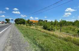  Teren Intravilan 22598 mp