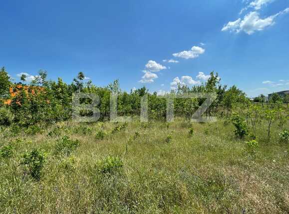 Teren de vânzare Aeroport - 88100TV | BLITZ Craiova | Poza3