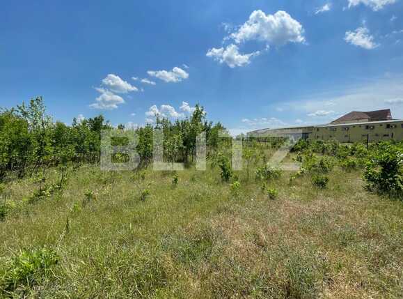 Teren de vânzare Aeroport - 88100TV | BLITZ Craiova | Poza2