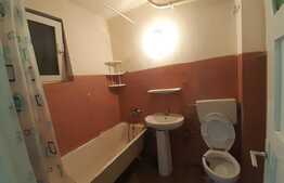 Apartament 2 camere, semidecomandat, Brazda