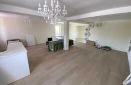 Spatiu comercial, 160 mp utili, 330 mp teren, 4 locuri de parcare, zona Mirage Ballroom