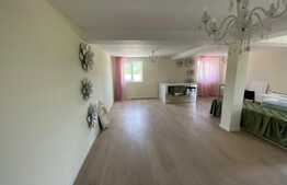 Spatiu comercial, 160 mp utili, 330 mp teren, 4 locuri de parcare, zona Mirage Ballroom