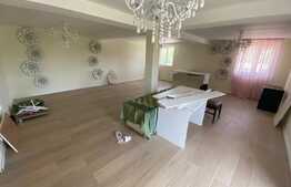 Spatiu comercial, 160 mp utili, 330 mp teren, 4 locuri de parcare, zona Mirage Ballroom