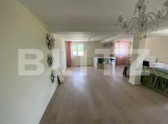 Spațiu comercial de închiriat Exterior Est - 88241SIC | BLITZ Craiova | Poza3