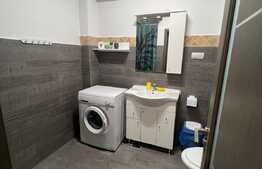 Apartament 2 camere, 55 mp, mobilat/utilat modern, zona Calea Severinului