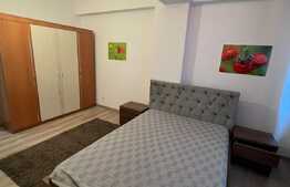 Apartament 2 camere, 55 mp, mobilat/utilat modern, zona Calea Severinului