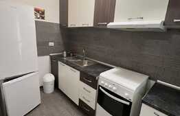 Apartament 2 camere, 55 mp, mobilat/utilat modern, zona Calea Severinului