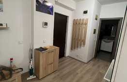 Apartament 2 camere, 55 mp, mobilat/utilat modern, zona Calea Severinului
