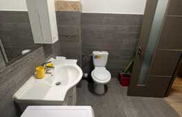 Apartament 2 camere, 55 mp, mobilat/utilat modern, zona Calea Severinului