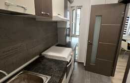 Apartament 2 camere, 55 mp, mobilat/utilat modern, zona Calea Severinului