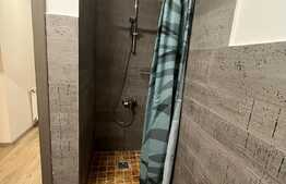 Apartament 2 camere, 55 mp, mobilat/utilat modern, zona Calea Severinului