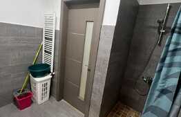 Apartament 2 camere, 55 mp, mobilat/utilat modern, zona Calea Severinului