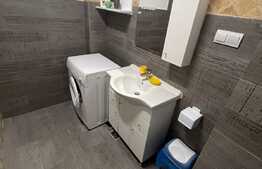 Apartament 2 camere, 55 mp, mobilat/utilat modern, zona Calea Severinului