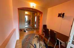 Apartament 2 camere, 52 mp, mobilat si utilat, Brazda lui Novac