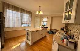 Penthouse 5 camere, 250 mp, zona Ciuperca