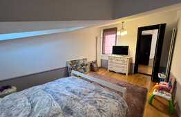 Penthouse 5 camere, 250 mp, zona Ciuperca