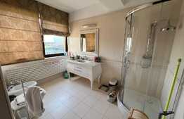 Penthouse 5 camere, 250 mp, zona Ciuperca