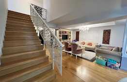 Penthouse 5 camere, 250 mp, zona Ciuperca