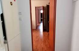 Apartament de 3 camere, 54 mp, pet friendly, zona Craiovita