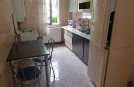 Apartament de 3 camere, 54 mp, pet friendly, zona Craiovita