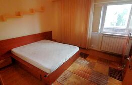 Apartament 2 camere, centrala termica, aer conditionat, zona 1 Mai