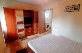 Apartament 2 camere, centrala termica, aer conditionat, zona 1 Mai