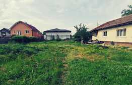 Ocazie! Proprietate de 1397 mp, teren intravilan, Brestei