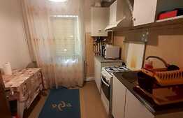 Apartament 2 camere, 50 mp, decomandat, Rovine, zona Profi